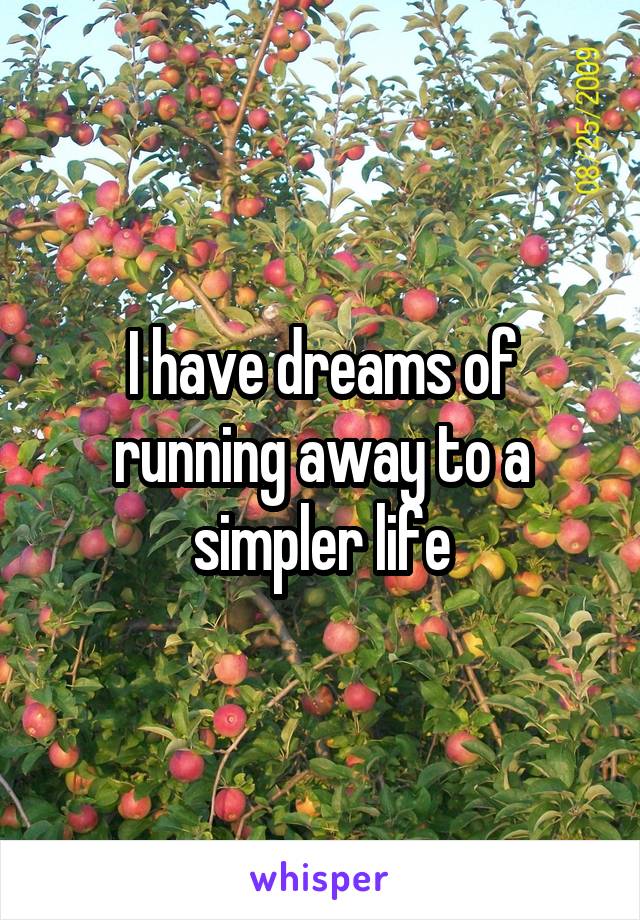 I have dreams of running away to a simpler life