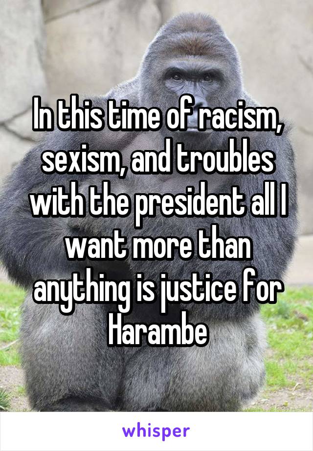 In this time of racism, sexism, and troubles with the president all I want more than anything is justice for Harambe