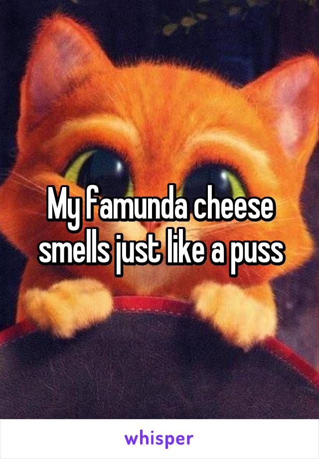 My famunda cheese smells just like a puss