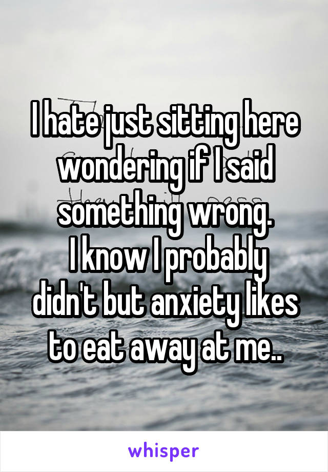 I hate just sitting here wondering if I said something wrong.
 I know I probably didn't but anxiety likes to eat away at me..