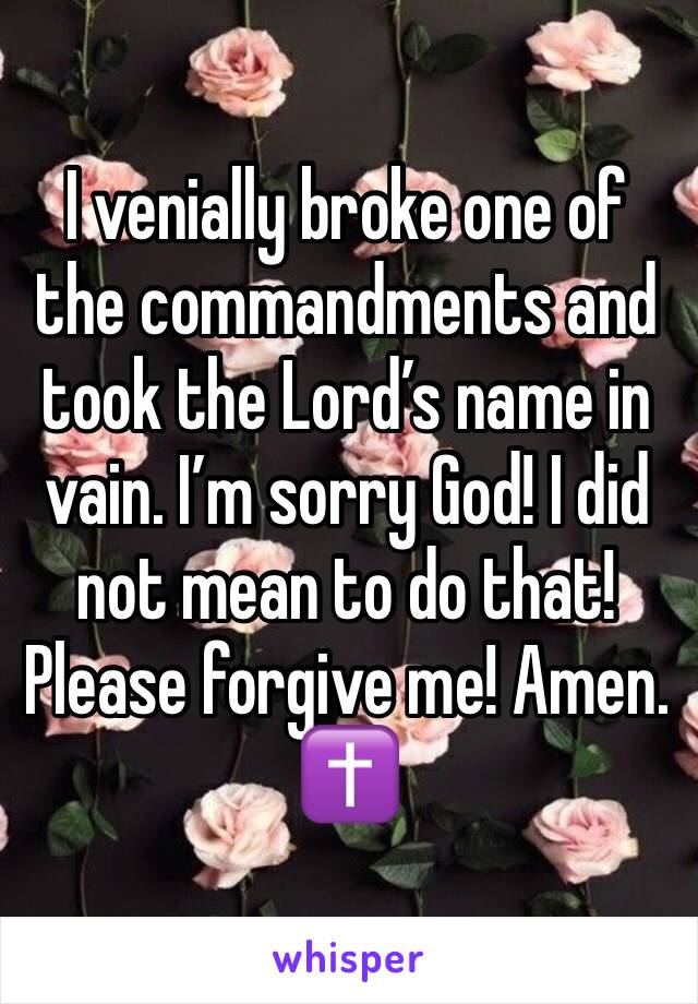 I venially broke one of the commandments and took the Lord’s name in vain. I’m sorry God! I did not mean to do that! Please forgive me! Amen. ✝️
