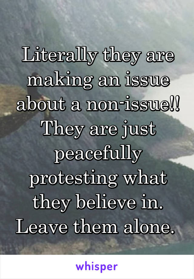 Literally they are making an issue about a non-issue!! They are just peacefully protesting what they believe in. Leave them alone. 