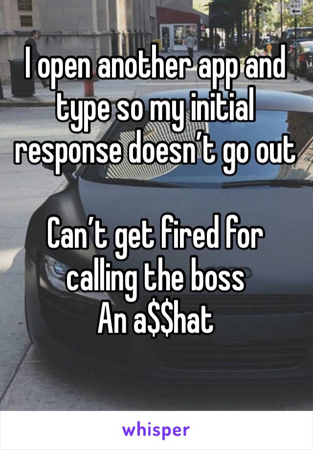 I open another app and type so my initial response doesn’t go out 

Can’t get fired for calling the boss
An a$$hat 