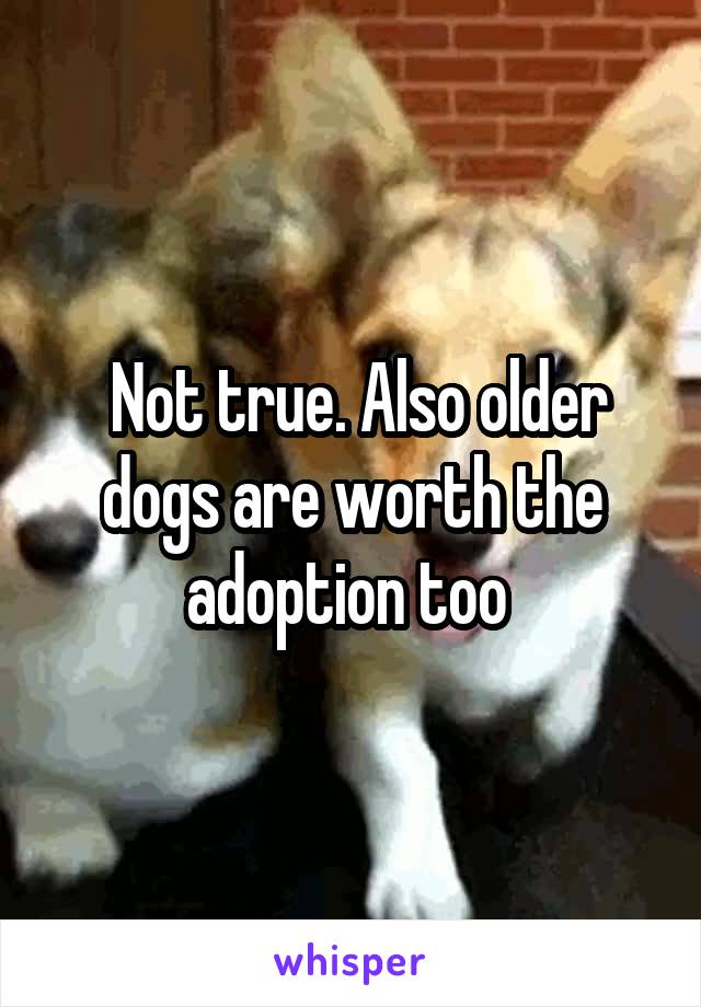  Not true. Also older dogs are worth the adoption too 