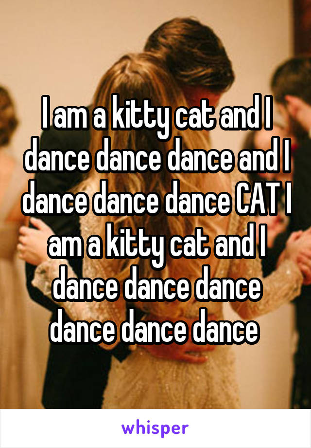 I am a kitty cat and I dance dance dance and I dance dance dance CAT I am a kitty cat and I dance dance dance dance dance dance 