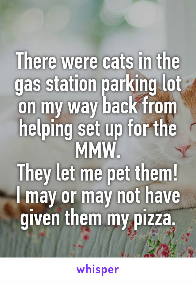 There were cats in the gas station parking lot on my way back from helping set up for the MMW.
They let me pet them! I may or may not have given them my pizza.
