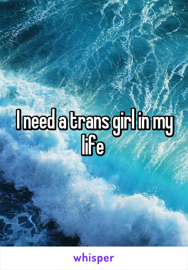 I need a trans girl in my life 
