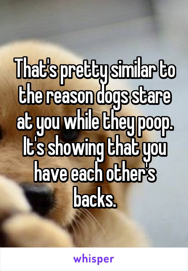 That's pretty similar to the reason dogs stare at you while they poop. It's showing that you have each other's backs.