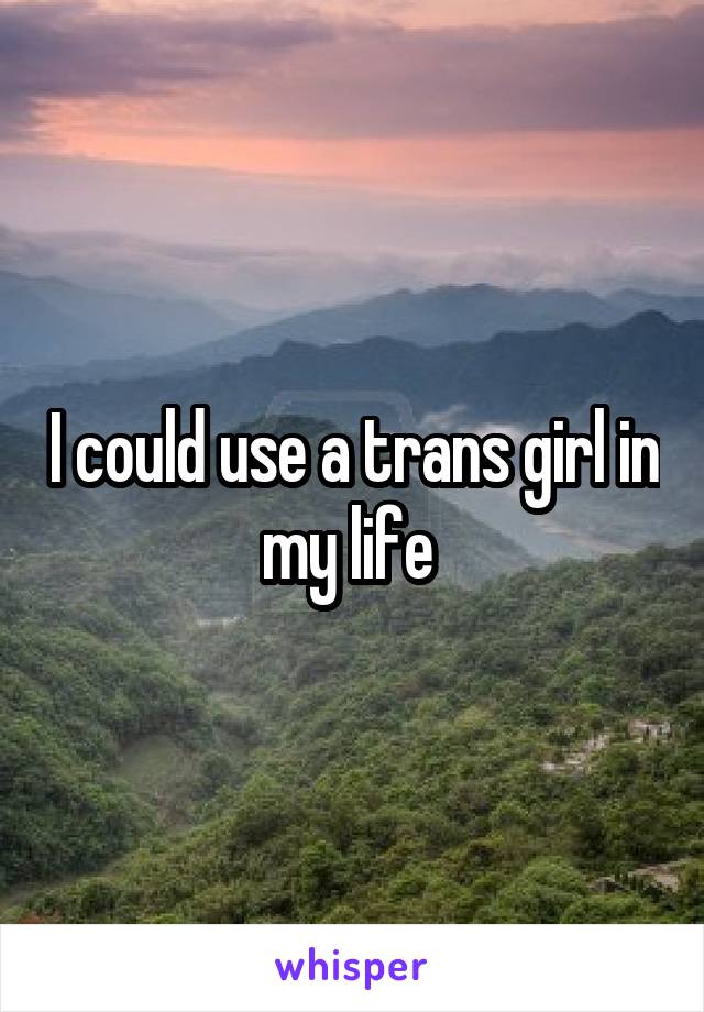 I could use a trans girl in my life 