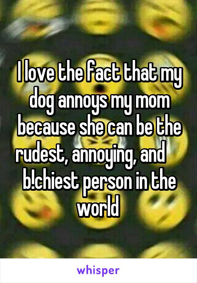 I love the fact that my dog annoys my mom because she can be the rudest, annoying, and      b!chiest person in the world 