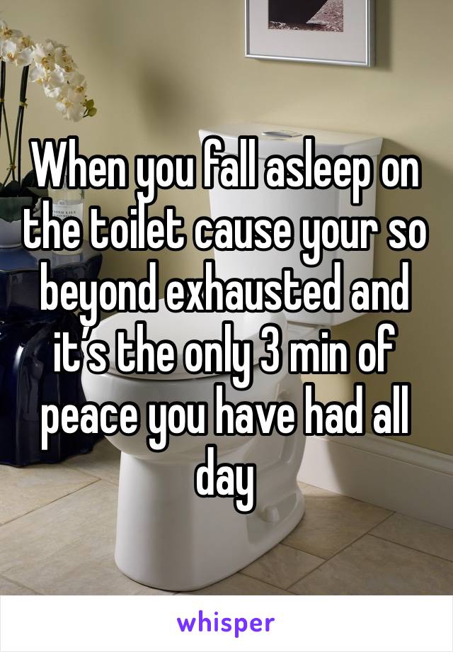 When you fall asleep on the toilet cause your so beyond exhausted and it’s the only 3 min of peace you have had all day 