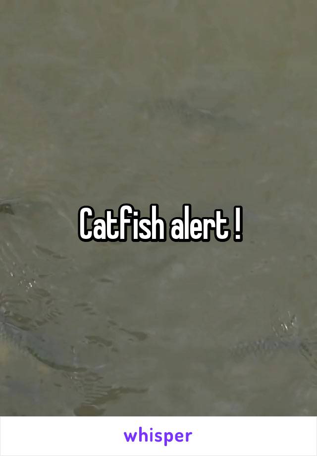 Catfish alert !
