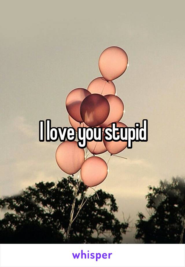 I love you stupid