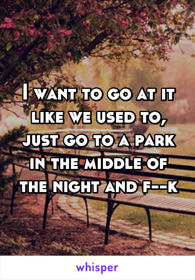 I want to go at it like we used to, just go to a park in the middle of the night and f--k