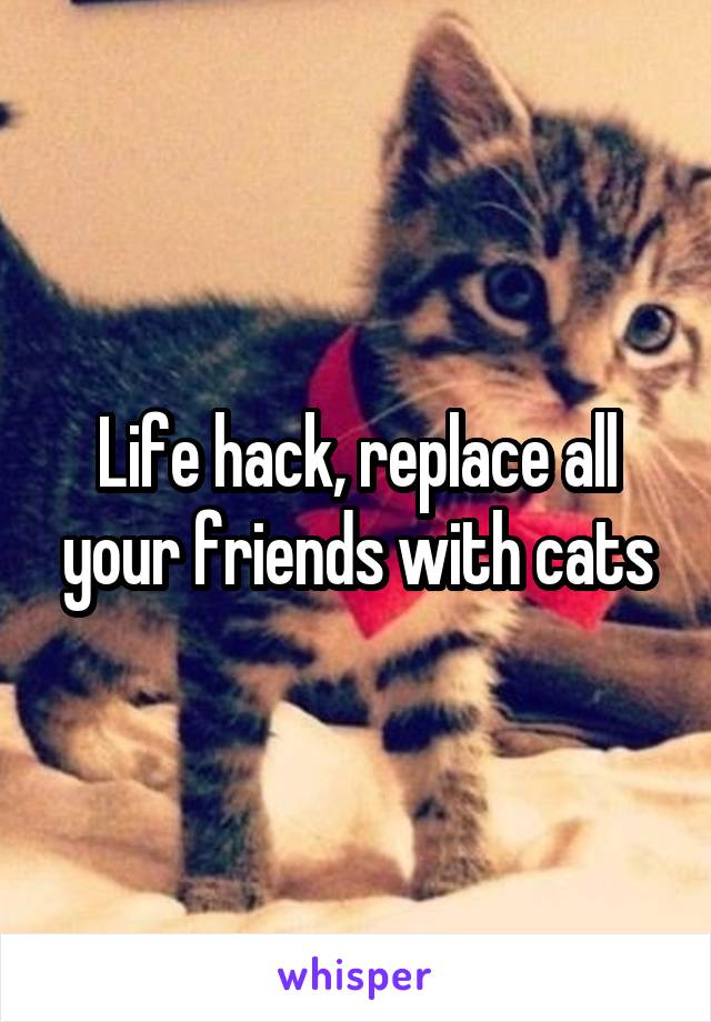 Life hack, replace all your friends with cats