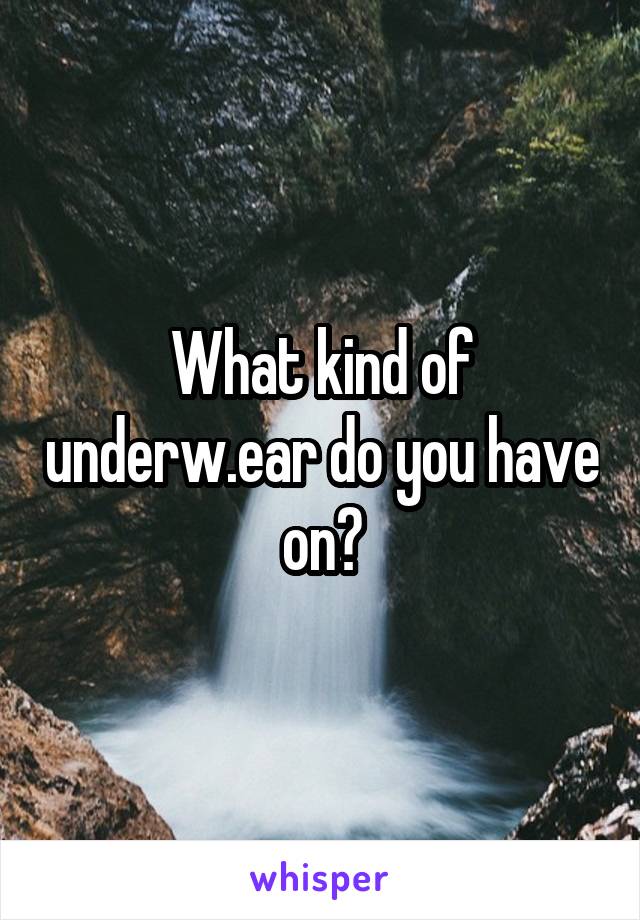 What kind of underw.ear do you have on?