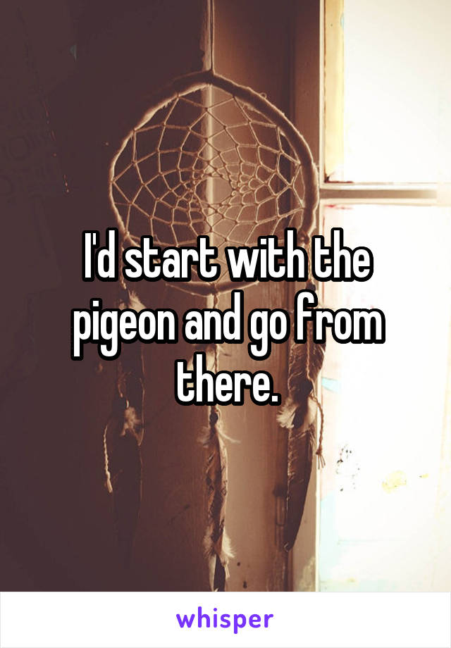 I'd start with the pigeon and go from there.