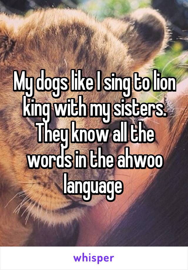 My dogs like I sing to lion king with my sisters. They know all the words in the ahwoo language 