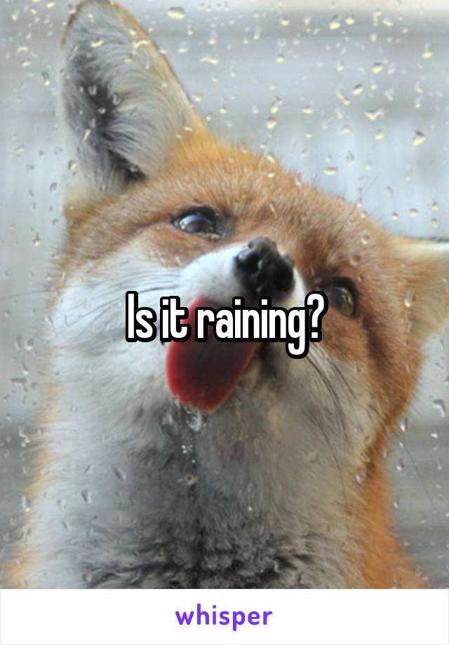 Is it raining?
