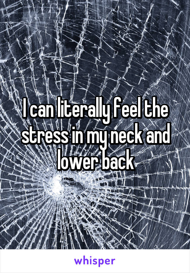 I can literally feel the stress in my neck and lower back