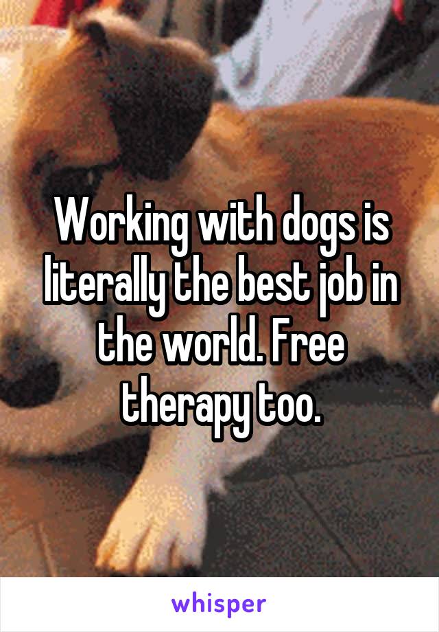 Working with dogs is literally the best job in the world. Free therapy too.