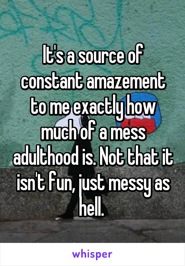 It's a source of constant amazement to me exactly how much of a mess adulthood is. Not that it isn't fun, just messy as hell. 
