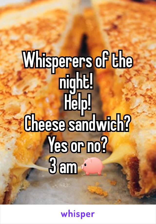 Whisperers of the  night! 
Help!
Cheese sandwich?
Yes or no?
3 am 🐖