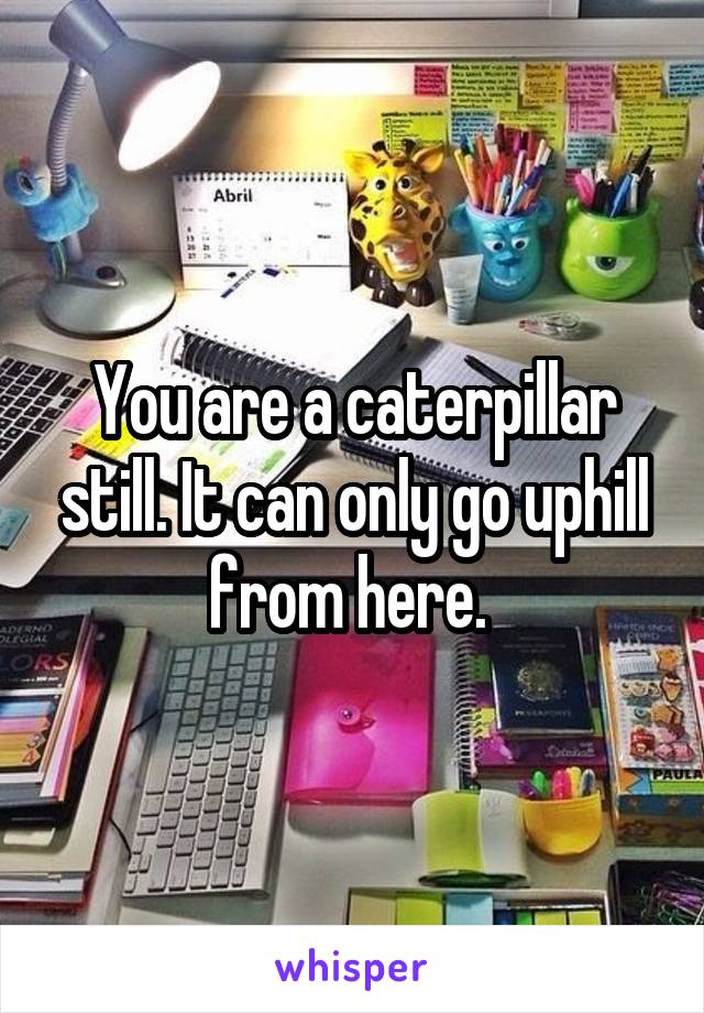 You are a caterpillar still. It can only go uphill from here. 