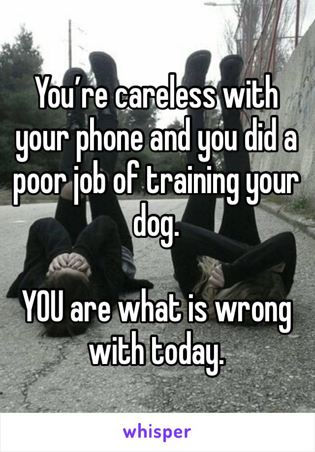 You’re careless with your phone and you did a poor job of training your dog.  

YOU are what is wrong with today. 