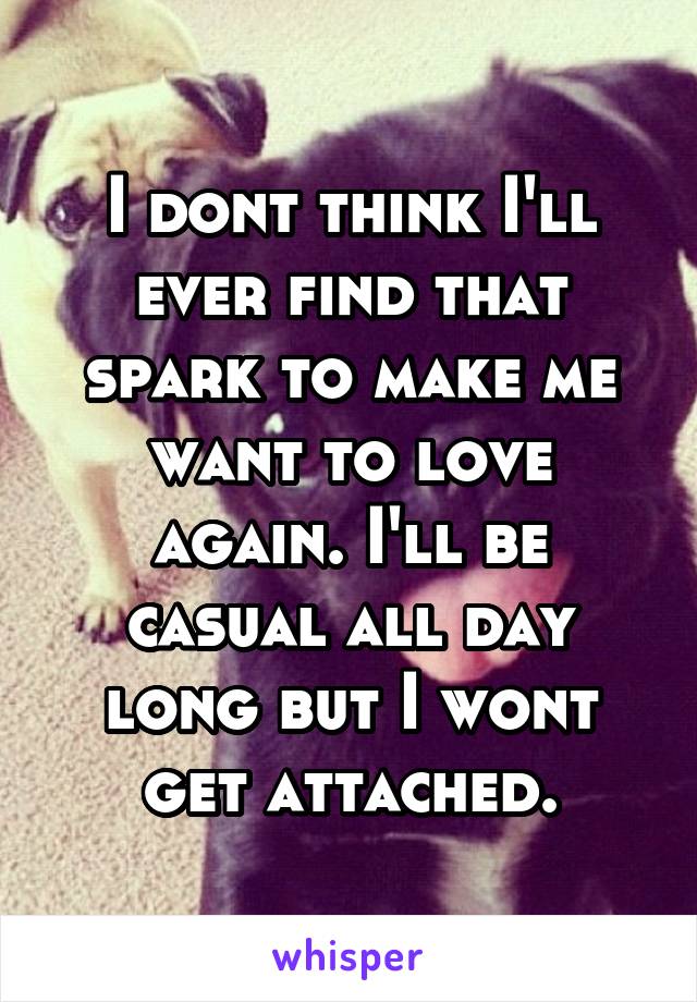 I dont think I'll ever find that spark to make me want to love again. I'll be casual all day long but I wont get attached.