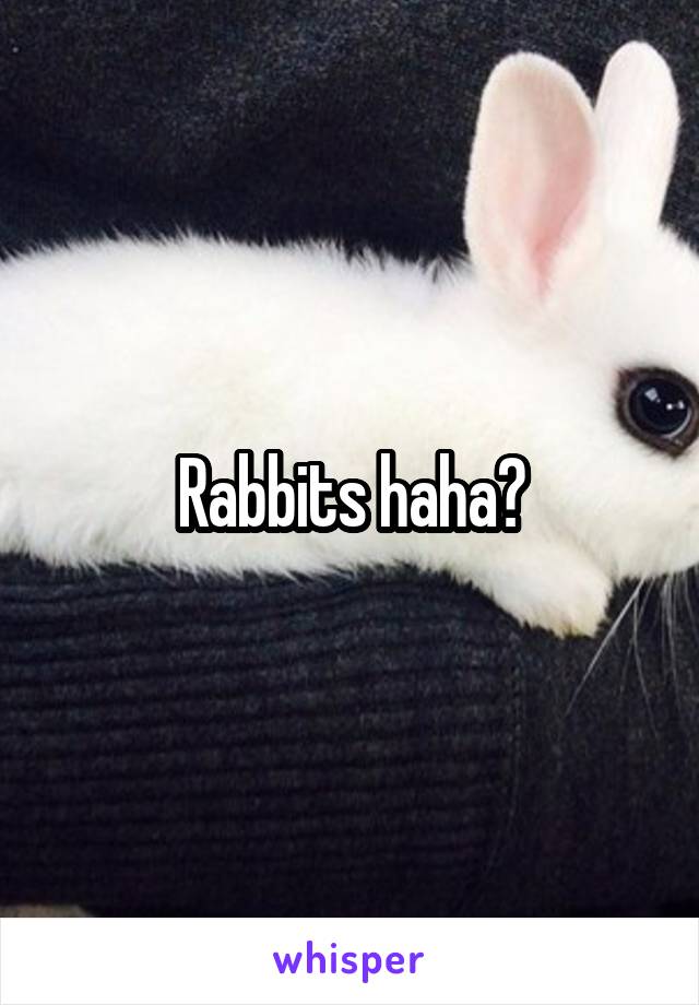 Rabbits haha?