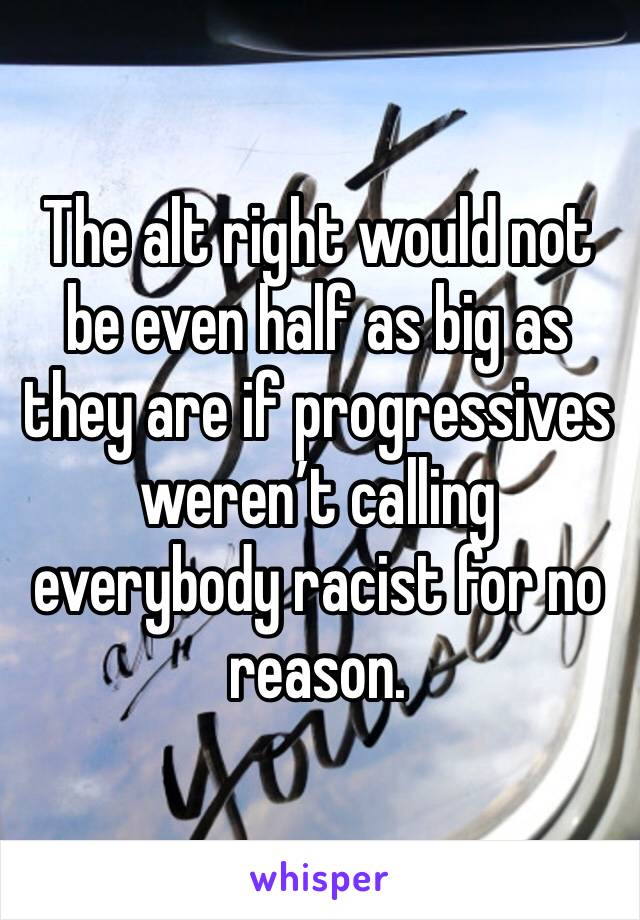 The alt right would not be even half as big as they are if progressives weren’t calling everybody racist for no reason.
