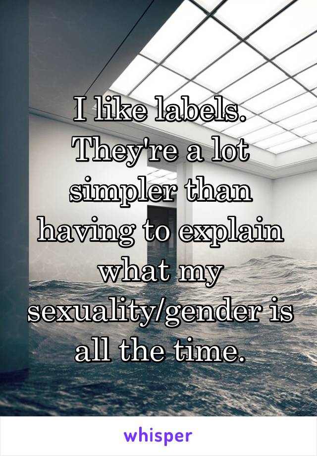 I like labels. They're a lot simpler than having to explain what my sexuality/gender is all the time.
