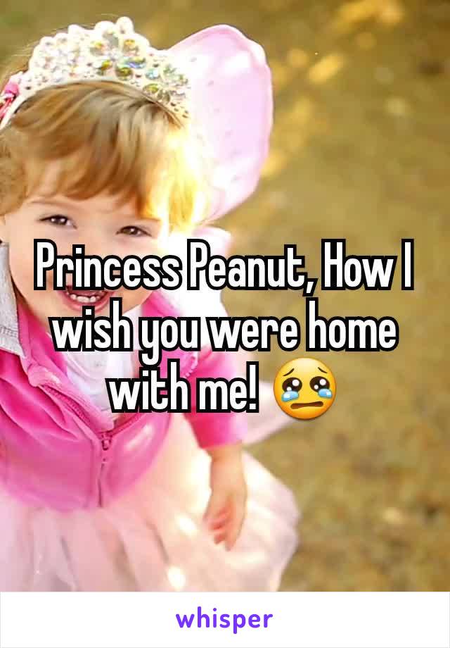 Princess Peanut, How I wish you were home with me! 😢