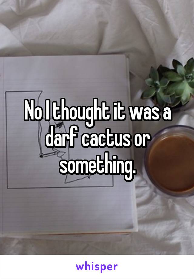 No I thought it was a darf cactus or something.