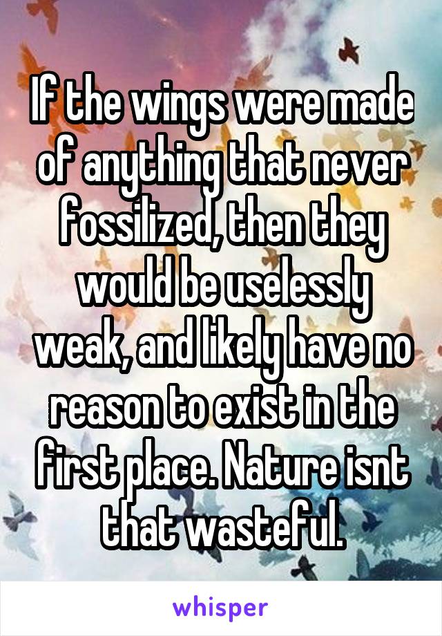 If the wings were made of anything that never fossilized, then they would be uselessly weak, and likely have no reason to exist in the first place. Nature isnt that wasteful.
