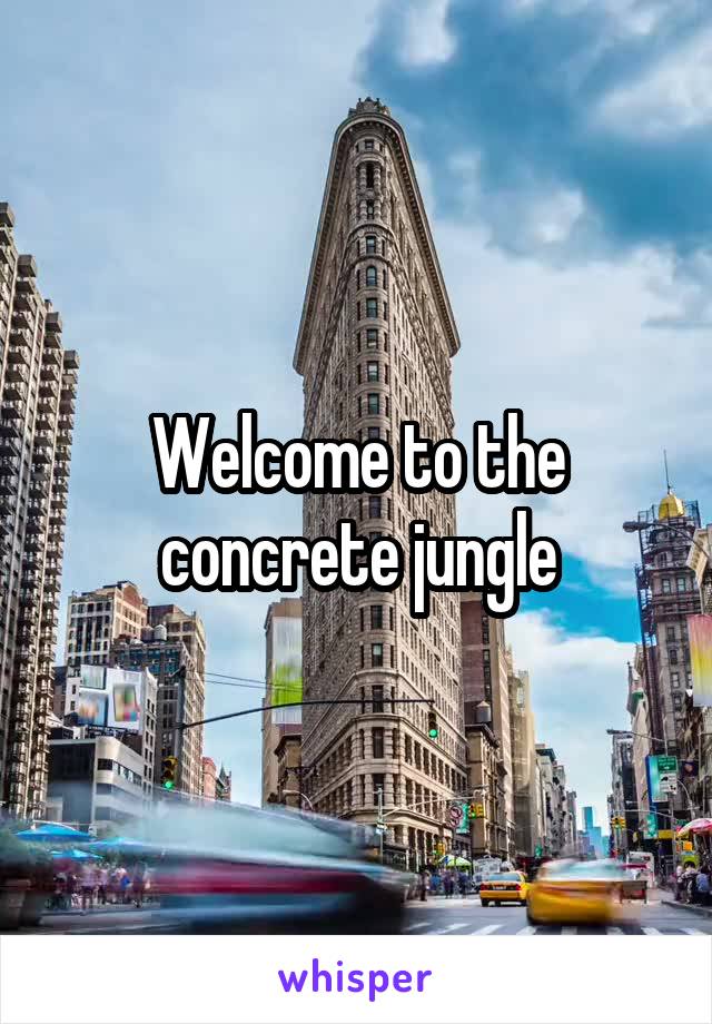 Welcome to the concrete jungle