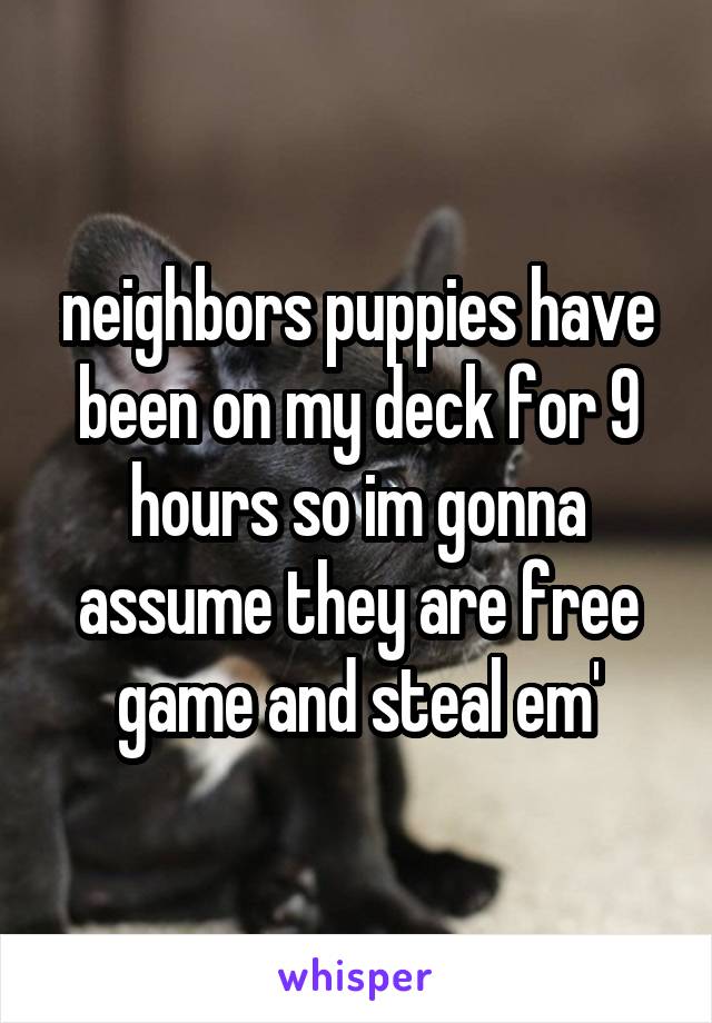 neighbors puppies have been on my deck for 9 hours so im gonna assume they are free game and steal em'