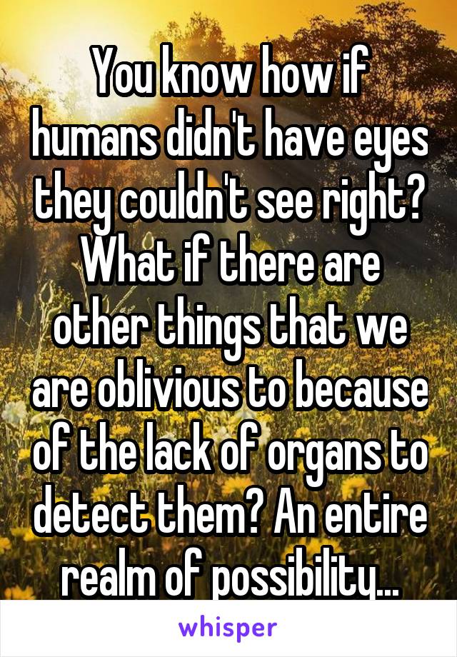 You know how if humans didn't have eyes they couldn't see right? What if there are other things that we are oblivious to because of the lack of organs to detect them? An entire realm of possibility...