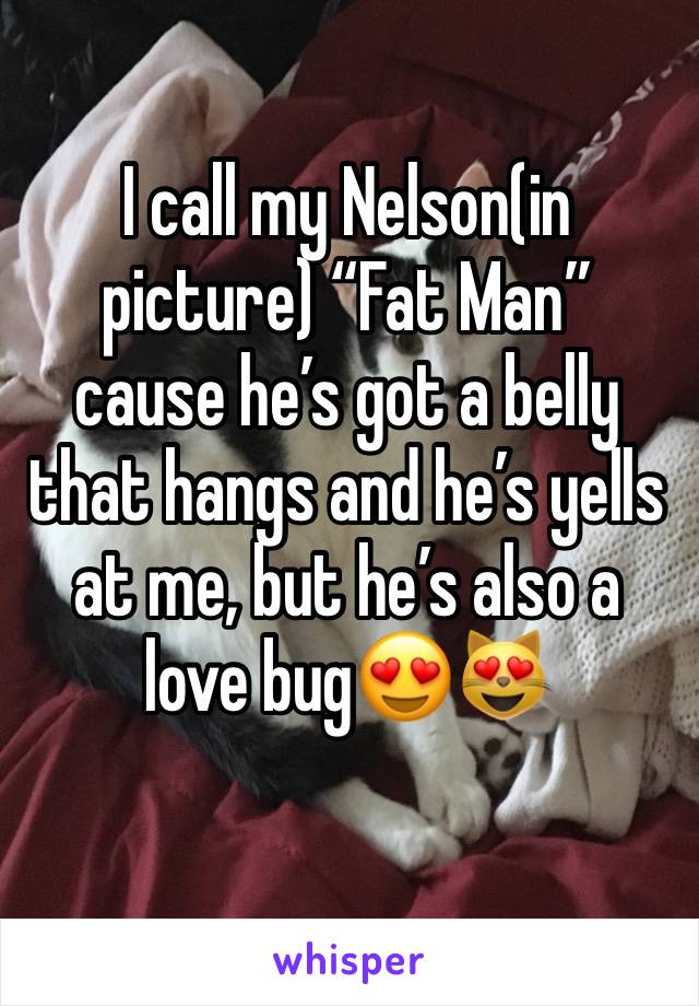 I call my Nelson(in picture) “Fat Man” cause he’s got a belly that hangs and he’s yells at me, but he’s also a love bug😍😻