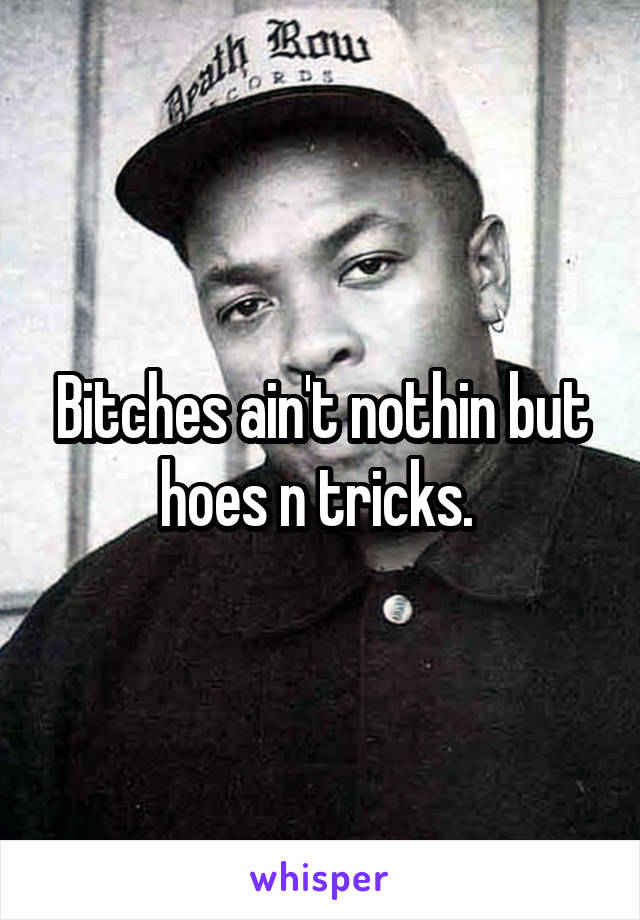 Bitches ain't nothin but hoes n tricks. 