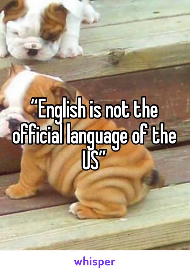“English is not the official language of the US” 