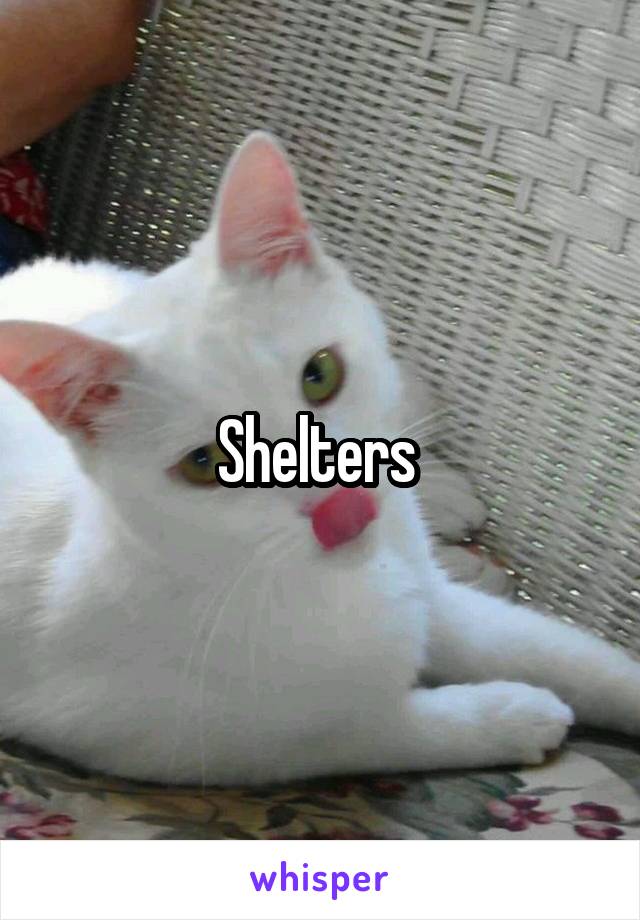 Shelters 