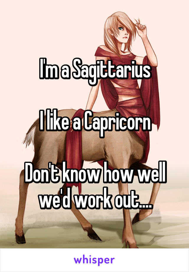 I'm a Sagittarius

I like a Capricorn

Don't know how well we'd work out....