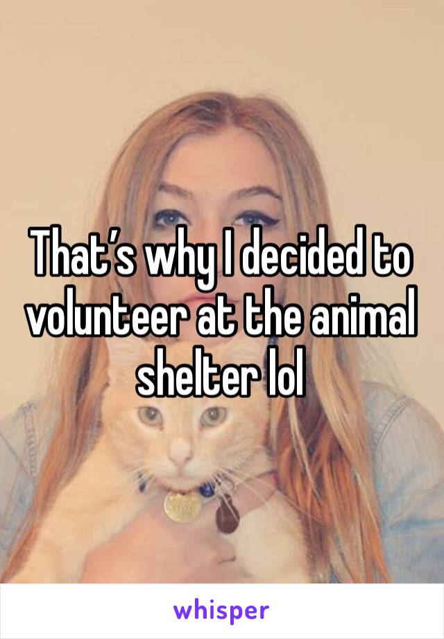 That’s why I decided to volunteer at the animal shelter lol