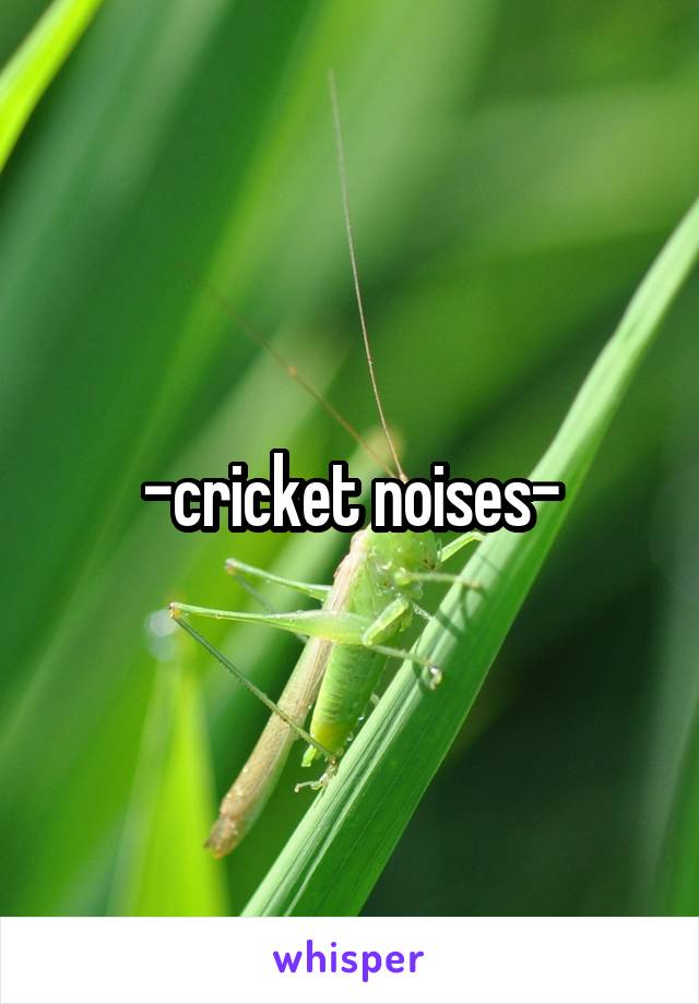 -cricket noises-