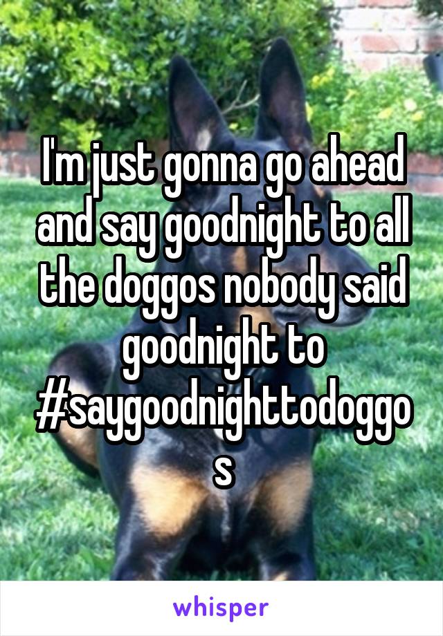 I'm just gonna go ahead and say goodnight to all the doggos nobody said goodnight to #saygoodnighttodoggos