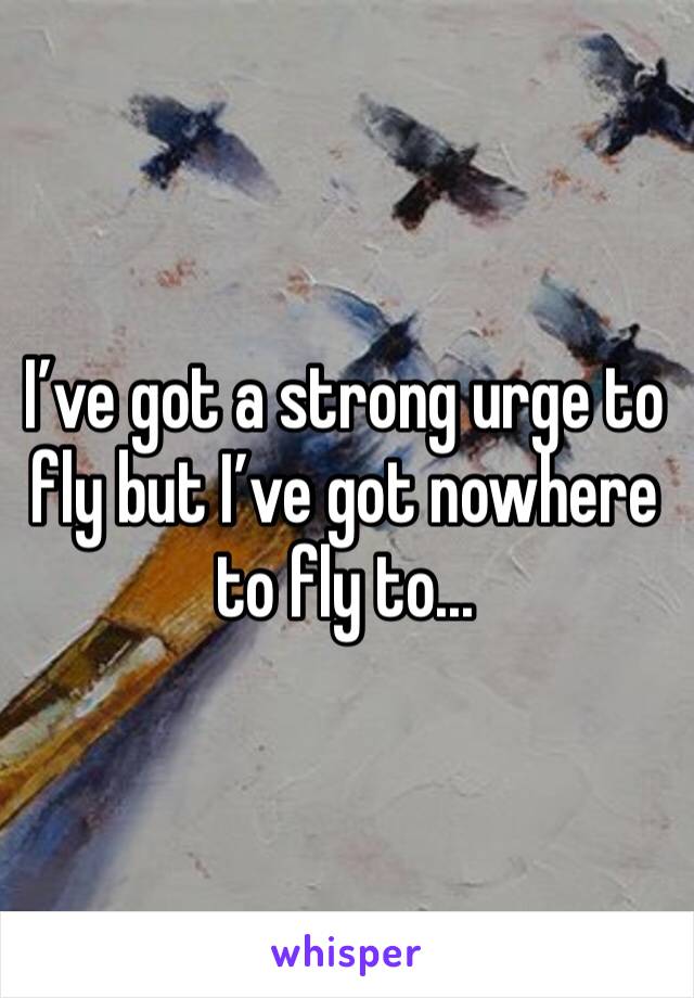 I’ve got a strong urge to fly but I’ve got nowhere to fly to...