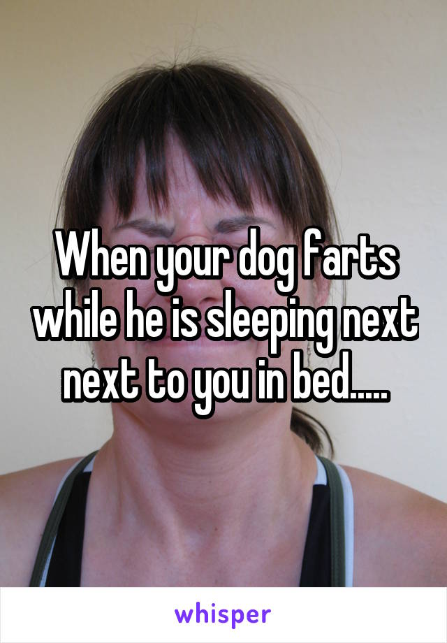 When your dog farts while he is sleeping next next to you in bed.....