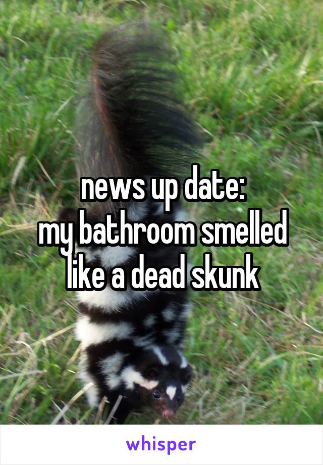 news up date:
my bathroom smelled like a dead skunk